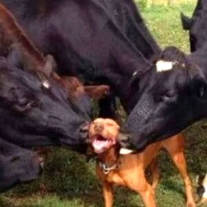 Welcome SUMMER Blessings!               FREE shipping on entire store.